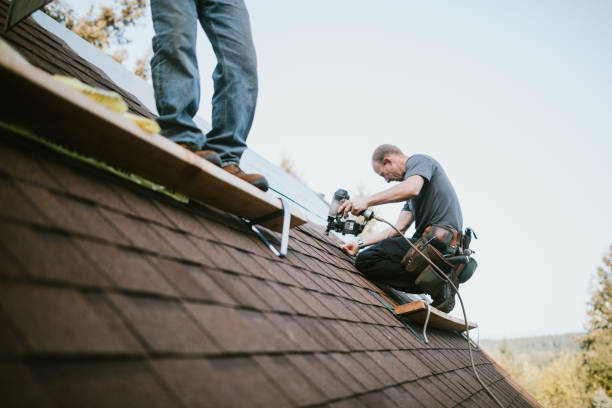 Roof Gutter Cleaning in North Mankato, MN